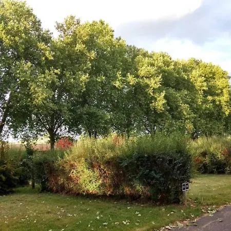 Dreilaenderblick In 괴를리츠