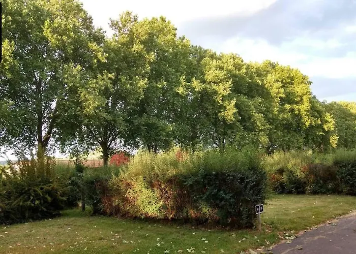 Dreilaenderblick In 괴를리츠